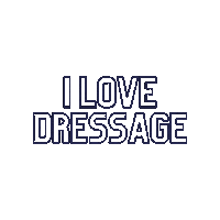 Horse Pony Sticker by BritishDressage