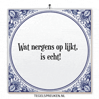 Chaos Nl GIF by Tegelspreuken.nl