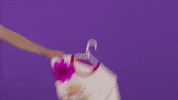 teepublic holidays present gifts teepublic GIF