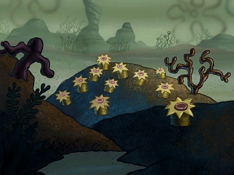 season 3 spongebob b.c. GIF by SpongeBob SquarePants