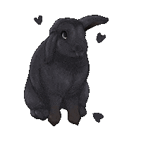Bunny Rabbit Sticker