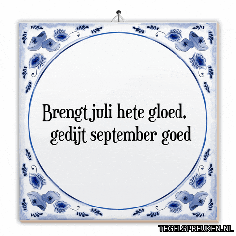 Nl Licht GIF by Tegelspreuken.nl