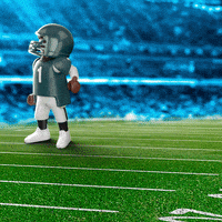 Football Nfl GIF by PLAYMOBIL