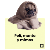 NubikaFormacion dog animal perro funny dog Sticker