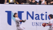 Arizona Diamondbacks Sport GIF by MLB