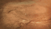 Landing Jet Propulsion Laboratory GIF by NASA