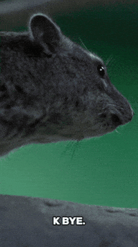 See Ya Goodbye GIF by Valley Zoo Development Society