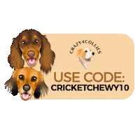 Cricket Mushu Sticker by zoopeez