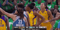 game 5 basketball GIF by WNBA