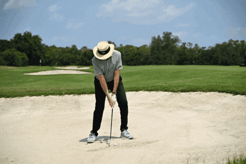 greggottfried giphygifmaker GIF