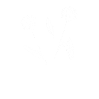 olliebriusyolo white chat bruce fleurs Sticker