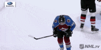 Celebrate Ice Hockey GIF by NHL
