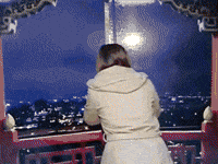 迷因 GIF