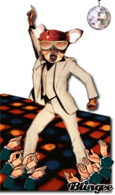 pirate GIF