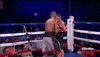boxing knockout GIF by SHOWTIME Sports