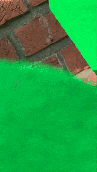 buurkracht samen buren buurkracht GIF
