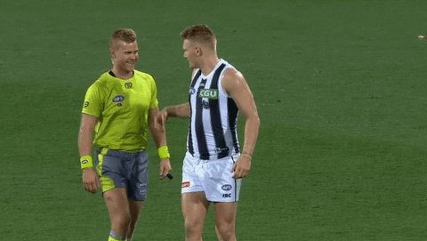 afl magpies GIF by CollingwoodFC