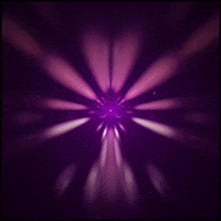 pink gif artist GIF by Erica Anderson