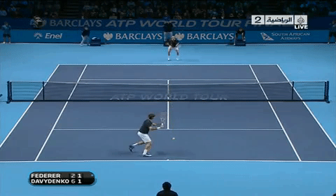 davydenko GIF