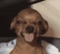 Goonersd GIF by memes