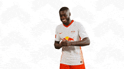 Happy Oh Yeah GIF by RB Leipzig