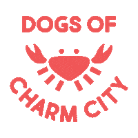 dogsofcharmcityMD baltimore charm city dogs of charm city dogsofcharmcity Sticker