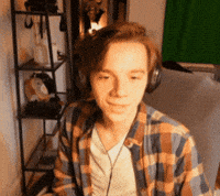 What The Hell Cat GIF
