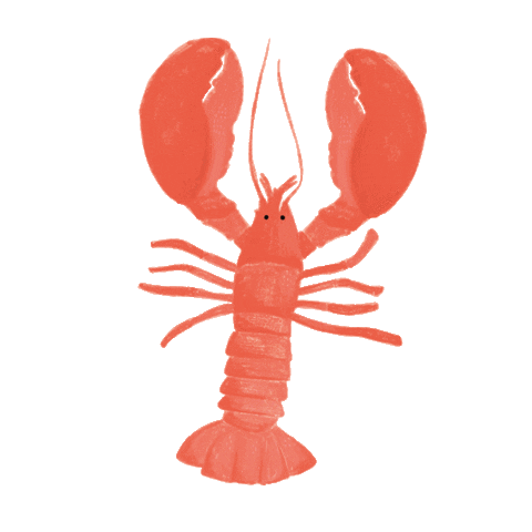 Lobster Sticker