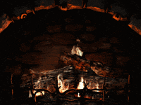 Yule Log Fire GIF