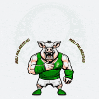 Mogidascruzes GIF by consuladosep.com.br