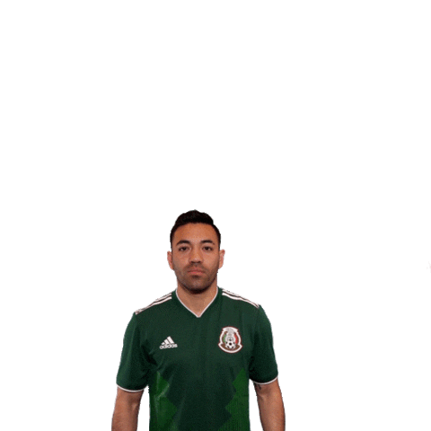 celebrate come on Sticker by MiSelecciónMX