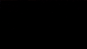 cruisin usa GIF by namslam
