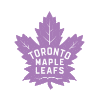 Fight Hockey Sticker by Toronto Maple Leafs