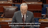 Supreme Court Democrats GIF by GIPHY News
