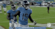 2018 Nfl Football GIF by NFL