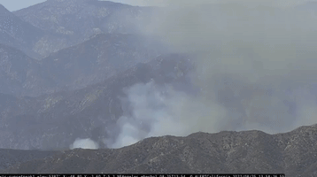 Firefighters Battle Brush Fire in Angeles National Forest