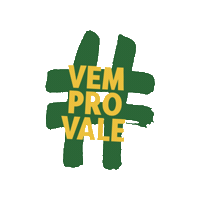 valedamantiqueira  Sticker