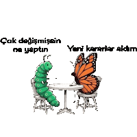 Mnks Kelimeler 4 Sticker