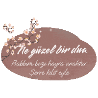 Mnks Kelimeler 4 Sticker