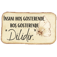 Mnks Kelimeler 4 Sticker