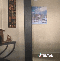 Bonjour GIF by TikTok France