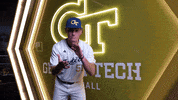Georgia Tech Baseball GIF by Georgia Tech Yellow Jackets