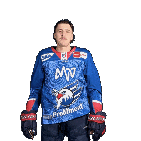 Leon Gawanke Sticker by Adler Mannheim