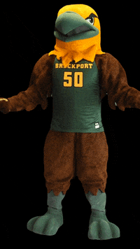 brockport mascot flex flexing suny GIF