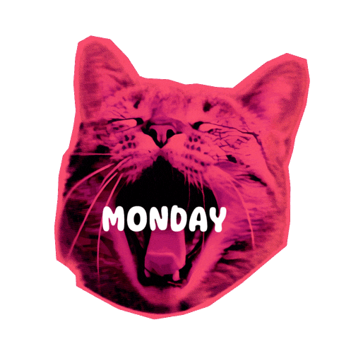 Cat Love Sticker by Seorang Zaki