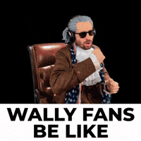 Wally West Solo Leveling GIF