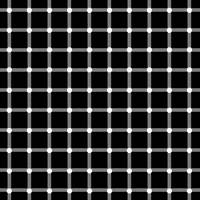 Cat GIF by Petit Pied