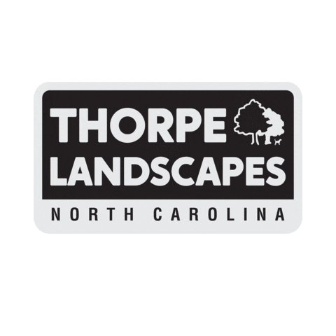 ThorpeLandscapes giphyupload thorpe thorpe landscapes thorpelandscapes Sticker