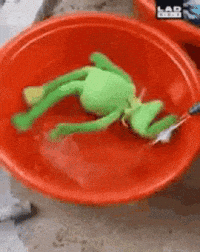 Round Spinning GIF