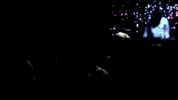 Dance Party GIF by more love